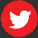 Latin American voice over twitter